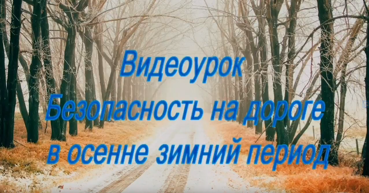 Видеоурок "Безопасность на дороге в осенне-зимний период"
